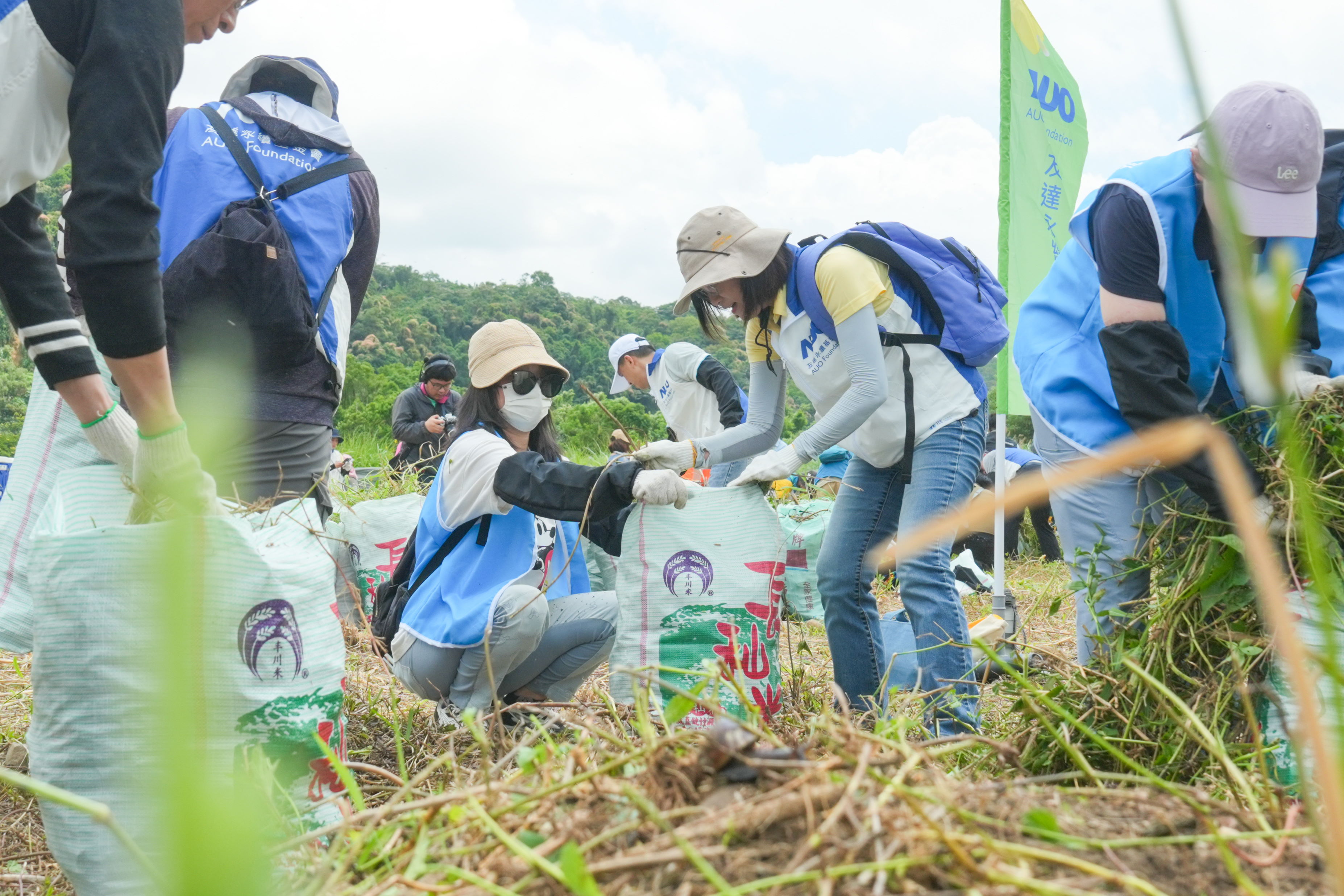 熊猫体育除蔓防治計畫，除了鎖定霄裡溪沿岸3.2公里移除外來入侵種小花蔓澤蘭，並進行物種與空拍調查，共記錄91科181屬239種維管束植物，顯示該區域具高度生態價值